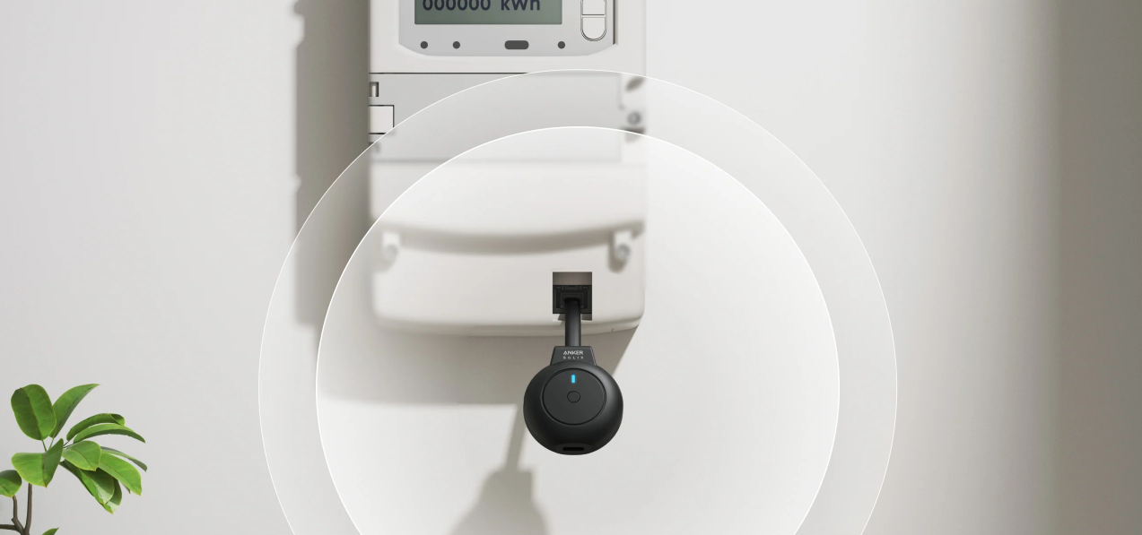 P1 smart meter compatibility for Dutch households